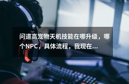 问道高宠物天机技能在哪升级,哪个NPC,具体流程,我现在在什么都不知道,望高手说明一下-第1张-游戏信息-龙启网