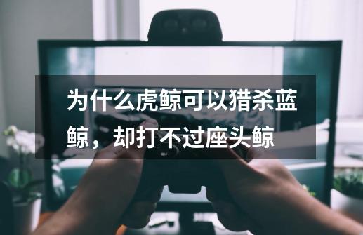 为什么虎鲸可以猎杀蓝鲸,却打不过座头鲸-第1张-游戏信息-龙启网