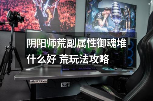 阴阳师荒副属性御魂堆什么好 荒玩法攻略-第1张-游戏信息-龙启网