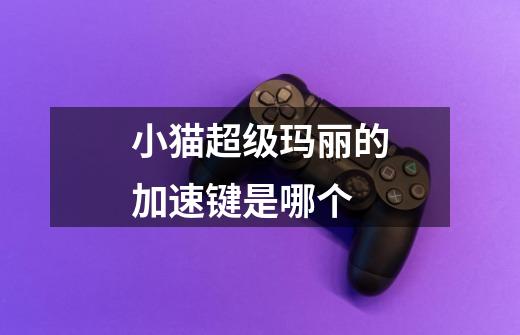 小猫超级玛丽的加速键是哪个-第1张-游戏信息-龙启网