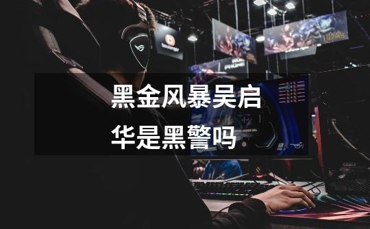 黑金风暴吴启华是黑警吗-第1张-游戏信息-龙启网