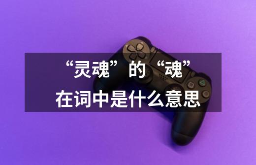 “灵魂”的“魂”在词中是什么意思-第1张-游戏信息-龙启网