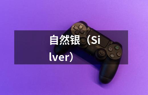 自然银(Silver)-第1张-游戏信息-龙启网
