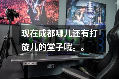 现在成都哪儿还有打旋儿的堂子哦。。-第1张-游戏信息-龙启网