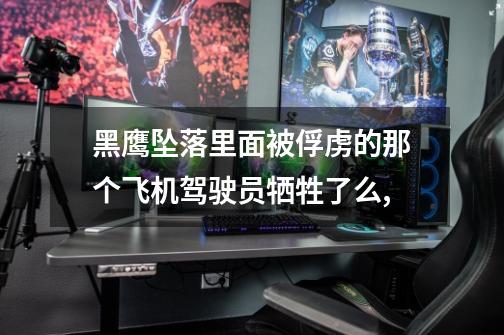 黑鹰坠落里面被俘虏的那个飞机驾驶员牺牲了么,-第1张-游戏信息-龙启网