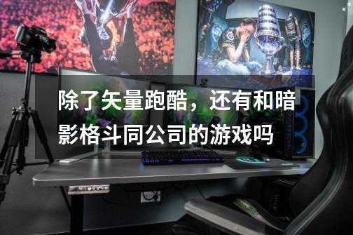 除了矢量跑酷，还有和暗影格斗同公司的游戏吗-第1张-游戏信息-龙启网