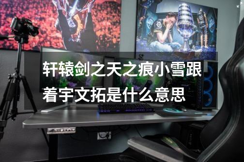 轩辕剑之天之痕小雪跟着宇文拓是什么意思-第1张-游戏信息-龙启网