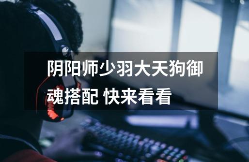 阴阳师少羽大天狗御魂搭配 快来看看-第1张-游戏信息-龙启网