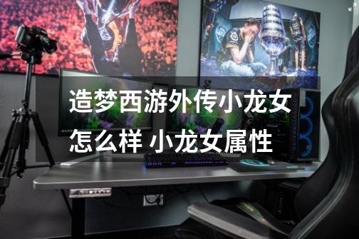 造梦西游外传小龙女怎么样 小龙女属性-第1张-游戏信息-龙启网