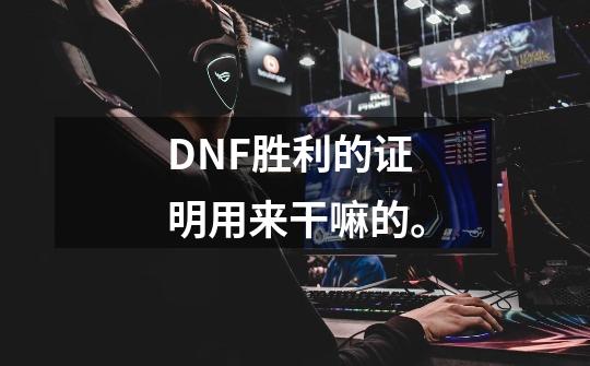 DNF胜利的证明用来干嘛的。-第1张-游戏信息-龙启网