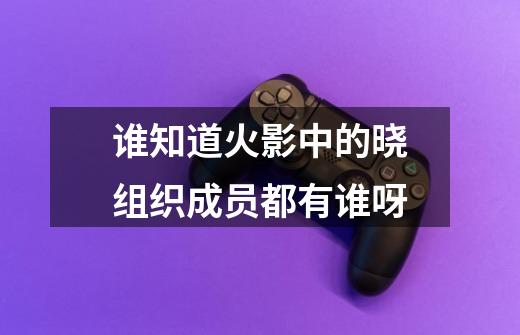 谁知道火影中的晓组织成员都有谁呀-第1张-游戏信息-龙启网