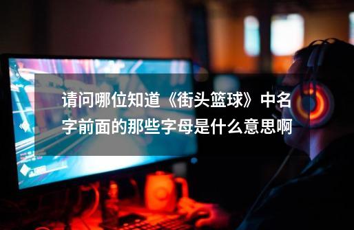 请问哪位知道《街头篮球》中名字前面的那些字母是什么意思啊-第1张-游戏信息-龙启网