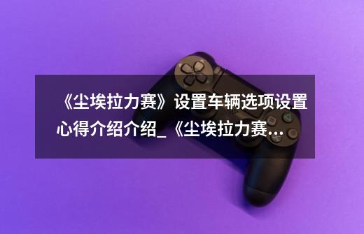 《尘埃拉力赛》设置车辆选项设置心得介绍介绍_《尘埃拉力赛》设置车辆选项设置心得介绍是什么-第1张-游戏信息-龙启网