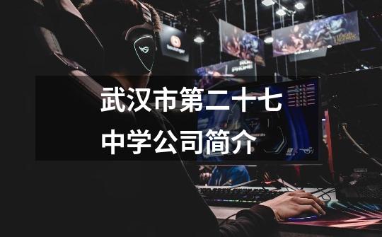 武汉市第二十七中学公司简介-第1张-游戏信息-龙启网