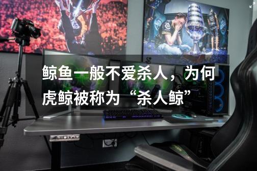 鲸鱼一般不爱杀人,为何虎鲸被称为“杀人鲸”-第1张-游戏信息-龙启网