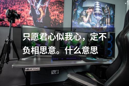 只愿君心似我心,定不负相思意。什么意思-第1张-游戏信息-龙启网