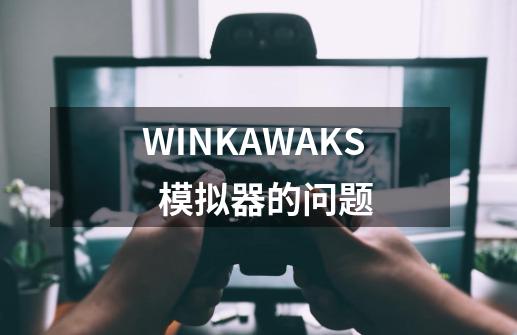 WINKAWAKS  模拟器的问题-第1张-游戏信息-龙启网