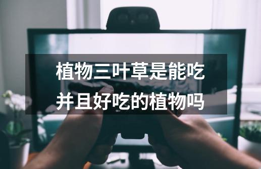 植物三叶草是能吃并且好吃的植物吗-第1张-游戏信息-龙启网