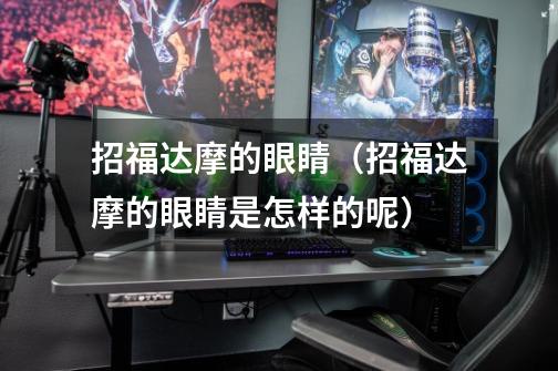 招福达摩的眼睛(招福达摩的眼睛是怎样的呢)-第1张-游戏信息-龙启网
