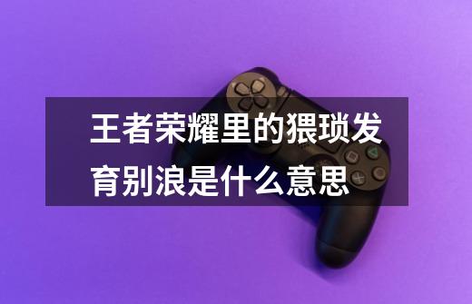 王者荣耀里的猥琐发育别浪是什么意思-第1张-游戏信息-龙启网