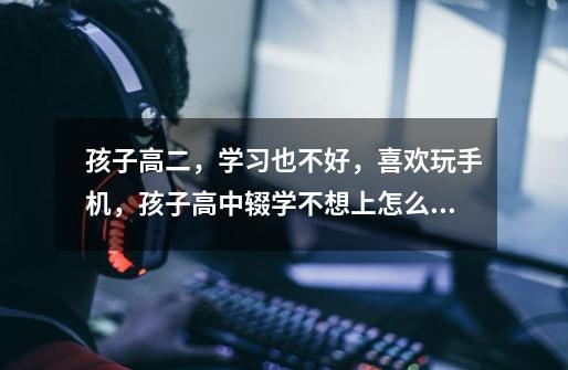 孩子高二，学习也不好，喜欢玩手机，孩子高中辍学不想上怎么办-第1张-游戏信息-龙启网
