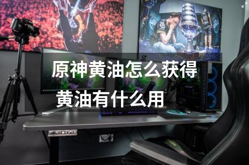 原神黄油怎么获得 黄油有什么用-第1张-游戏信息-龙启网