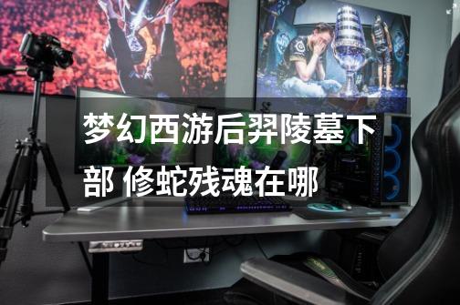 梦幻西游后羿陵墓下部 修蛇残魂在哪-第1张-游戏信息-龙启网