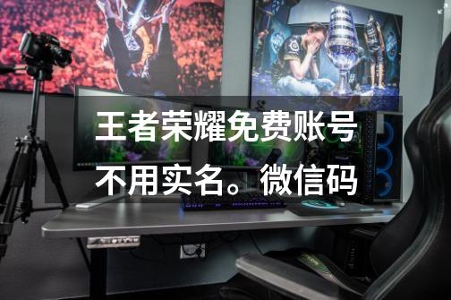 王者荣耀免费账号不用实名。微信码-第1张-游戏信息-龙启网
