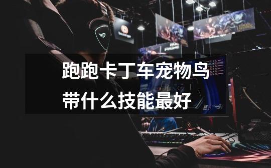 跑跑卡丁车宠物鸟带什么技能最好-第1张-游戏信息-龙启网