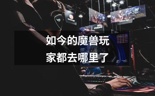 如今的魔兽玩家都去哪里了-第1张-游戏信息-龙启网