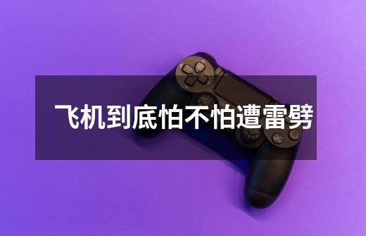飞机到底怕不怕遭雷劈-第1张-游戏信息-龙启网