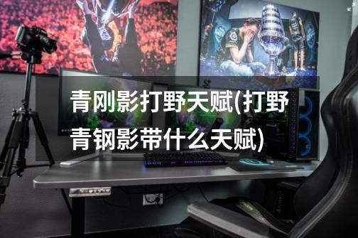 青刚影打野天赋(打野青钢影带什么天赋)-第1张-游戏信息-龙启网