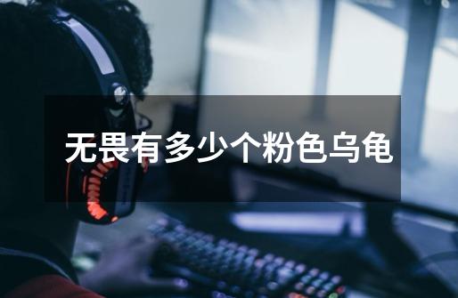 无畏有多少个粉色乌龟-第1张-游戏信息-龙启网