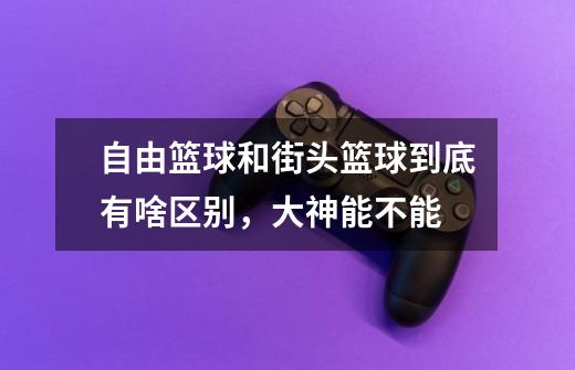 自由篮球和街头篮球到底有啥区别,大神能不能-第1张-游戏信息-龙启网
