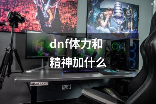 dnf体力和精神加什么-第1张-游戏信息-龙启网