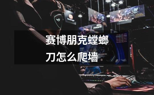赛博朋克螳螂刀怎么爬墙-第1张-游戏信息-龙启网
