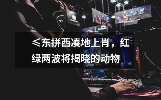 ≤东拼西凑地上肖,红绿两波将揭晓的动物-第1张-游戏信息-龙启网
