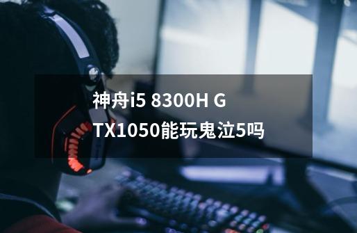 神舟i5 8300H GTX1050能玩鬼泣5吗-第1张-游戏信息-龙启网