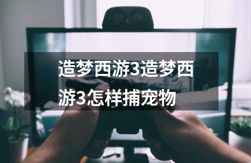 造梦西游3造梦西游3怎样捕宠物-第1张-游戏信息-龙启网