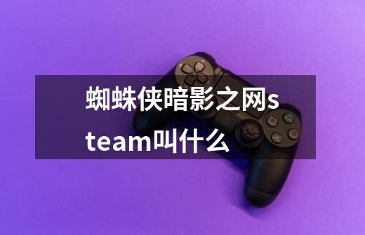 蜘蛛侠暗影之网steam叫什么-第1张-游戏信息-龙启网
