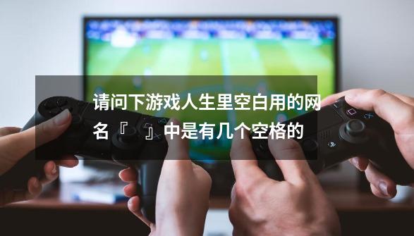 请问下游戏人生里空白用的网名『　』中是有几个空格的-第1张-游戏信息-龙启网