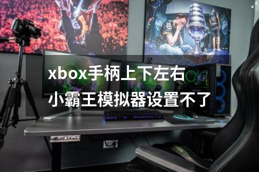 xbox手柄上下左右小霸王模拟器设置不了-第1张-游戏信息-龙启网