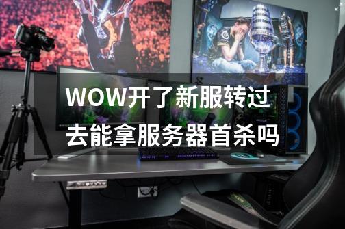 WOW开了新服转过去能拿服务器首杀吗-第1张-游戏信息-龙启网