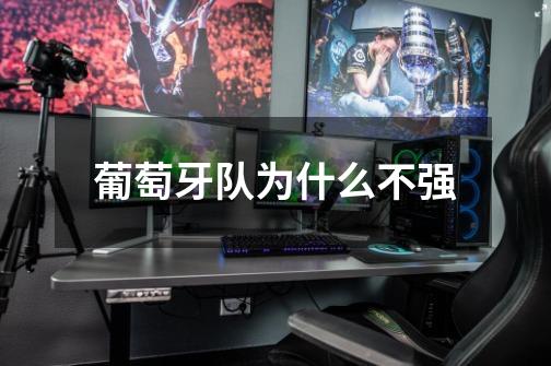 葡萄牙队为什么不强-第1张-游戏信息-龙启网
