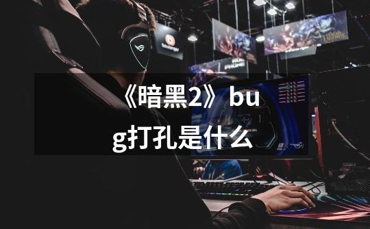 《暗黑2》bug打孔是什么-第1张-游戏信息-龙启网