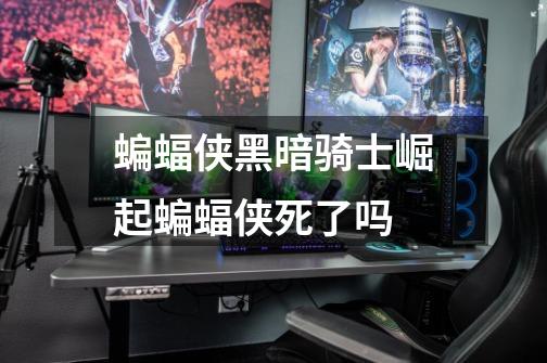 蝙蝠侠黑暗骑士崛起蝙蝠侠死了吗-第1张-游戏信息-龙启网