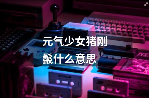 元气少女猪刚鬣什么意思-第1张-游戏信息-龙启网