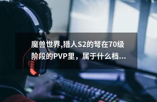 魔兽世界,猎人S2的弩在70级阶段的PVP里,属于什么档次的-第1张-游戏信息-龙启网