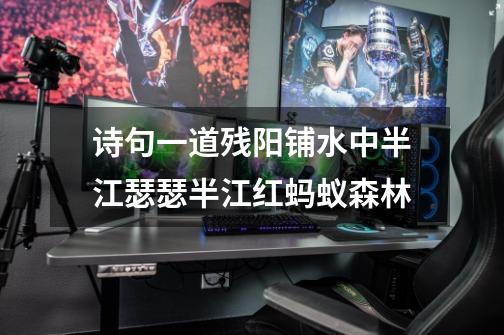 诗句一道残阳铺水中半江瑟瑟半江红蚂蚁森林-第1张-游戏信息-龙启网