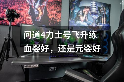 问道4力土号飞升练血婴好,还是元婴好-第1张-游戏信息-龙启网